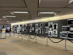 Gallery wall of photos in the John C Hitt Library.
